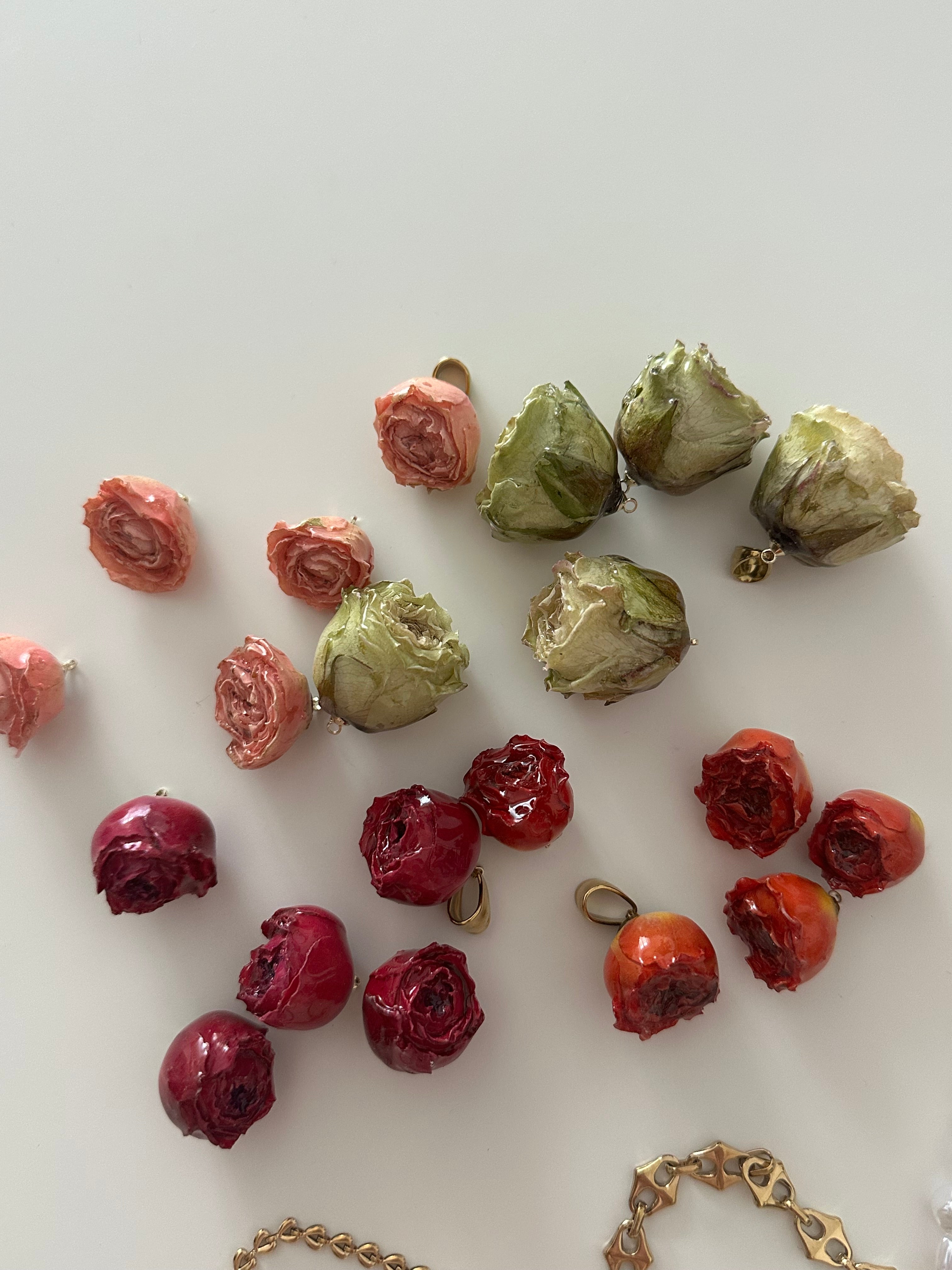 BOCCIOLO DI ROSA