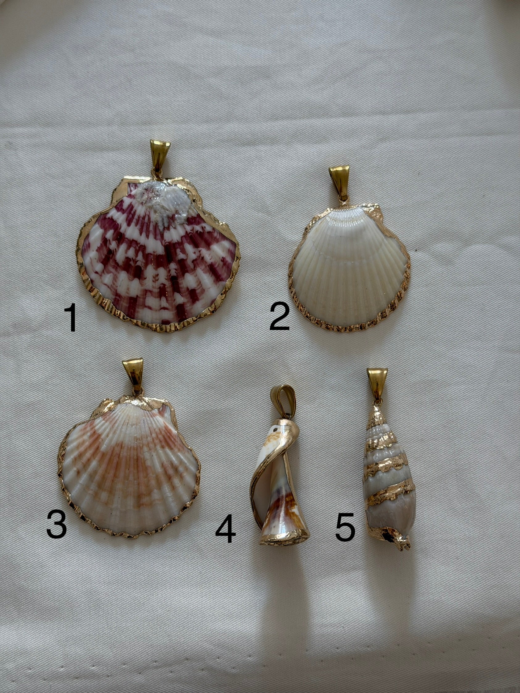 CIONDOLO CONCHIGLIA
