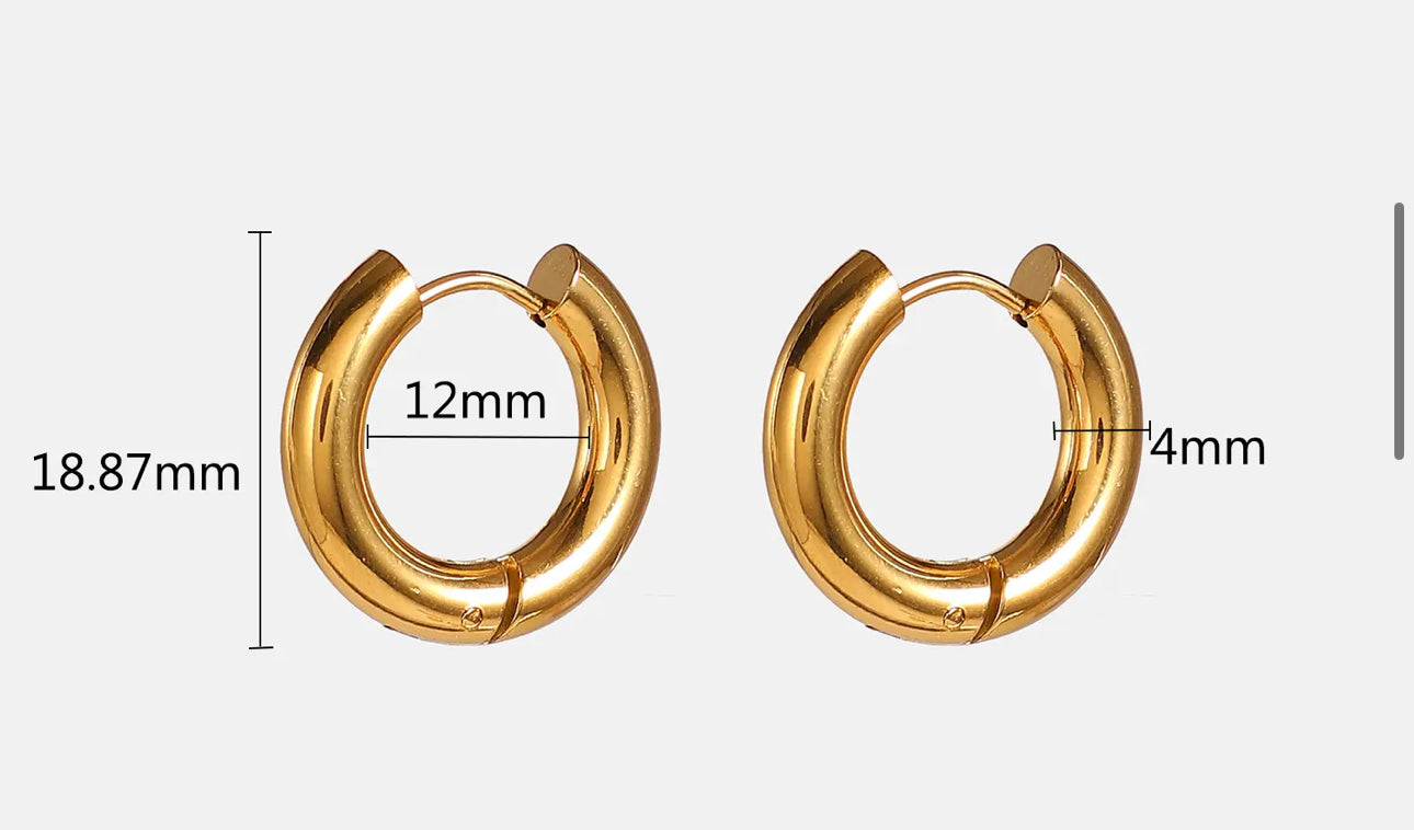JENNY EARRINGS